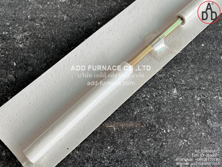 Riello Electrode 3006012(2)